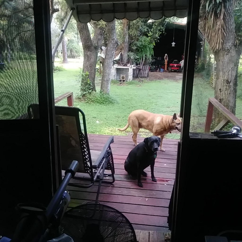 1568947814_15442664295d843e66b90664.49923686_backporch.jpg
