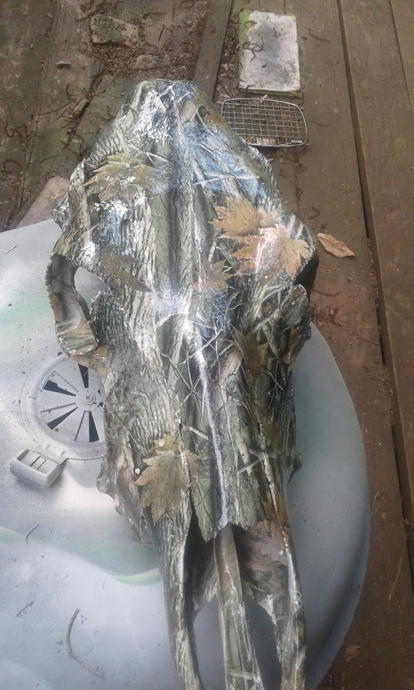 1569082416_12402426975d864c306aa1a6.14437133_dipped skull.jpg
