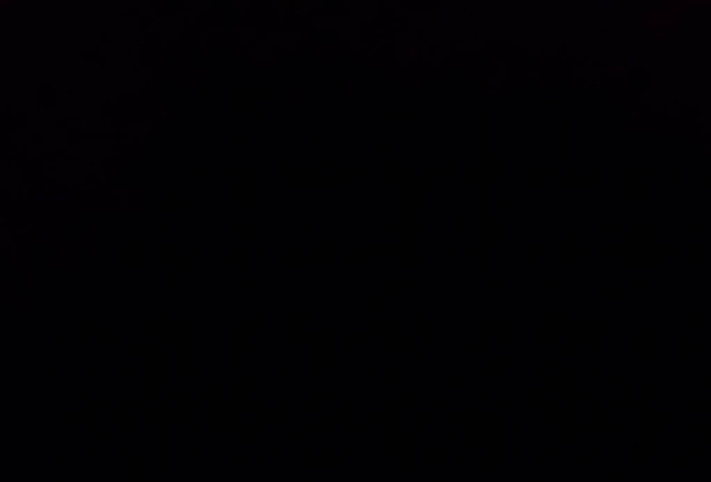 1569292044_20619098985d897f0c62c1f6.59871268_nite group.jpg