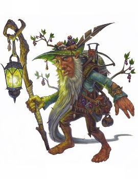 1570231688_20693977435d97d58815b375.75719045_forestgnome.jpg