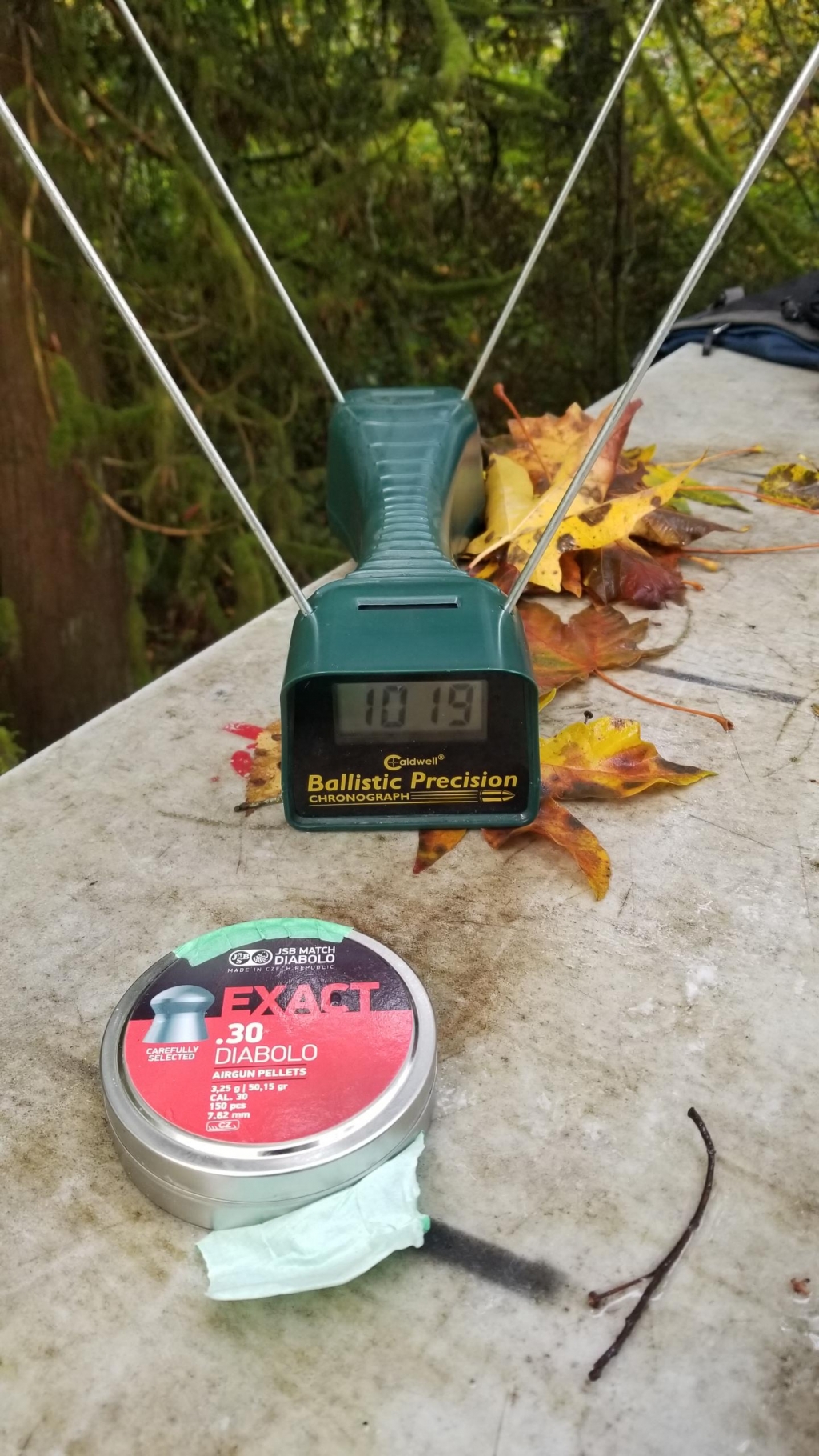 1570293052_6352195565d98c53ce627c3.65916505_20191005_091456.jpg
