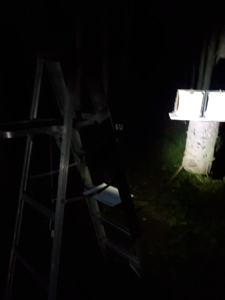1570512623_19771105765d9c1eef031901.14436712_71570654_2795090010502627_3133496470011904_n.jpg