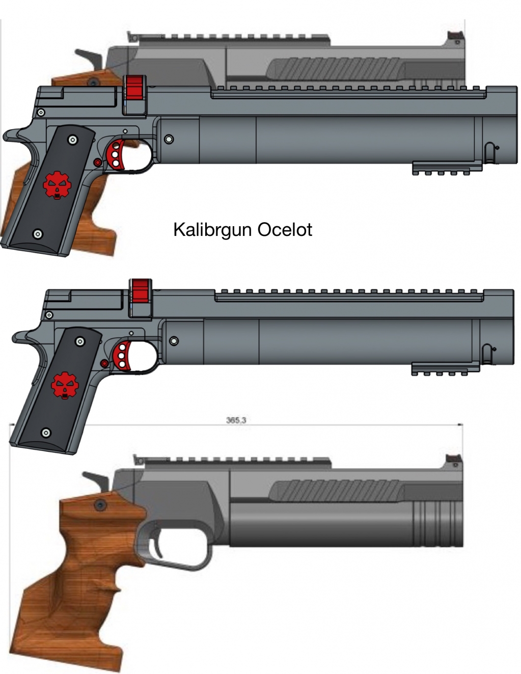 1570595198_4643968425d9d617eefd976.37811210_Tequila Gun pics-86.jpg