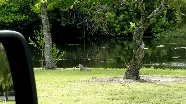 1570755304_20321564645d9fd2e8c7f0a5.49030713_20191010_152926_1.gif