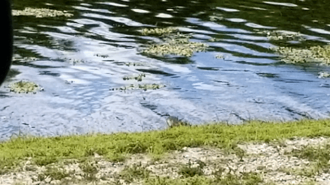 1570755397_3518063865d9fd3451c19a9.84903816_20191010_152337_1.gif