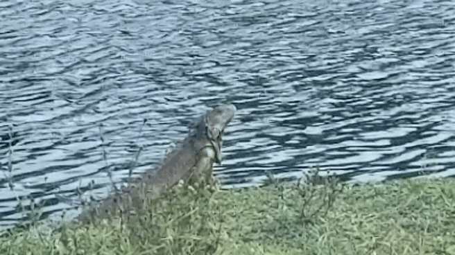 1570755426_2439019895d9fd362793852.18981730_20191010_134350_1.gif