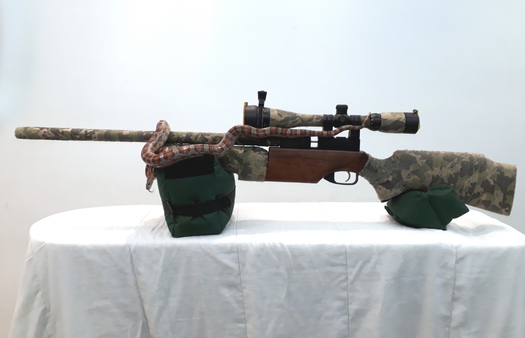 1570926405_20988503895da26f4566cdb9.27293964_airgunnation1.jpg