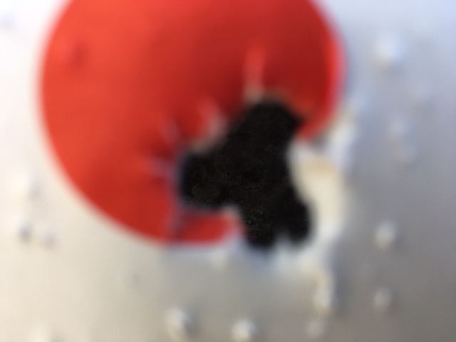 1570998768_17624055205da389f0322758.50864727_22.JPG