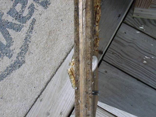 1571786822_14974036835daf9046b3da60.90535751_DSC00410.JPG