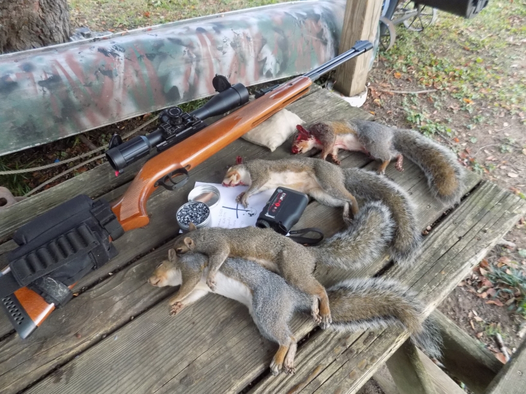 1572046797_4077499235db387cd752e27.78995516_D460-Squirrels-x-4.JPG