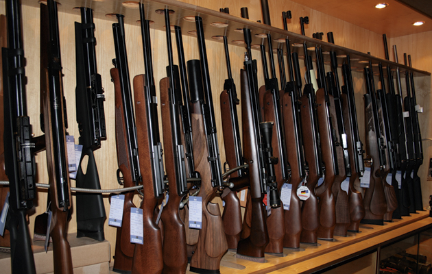 1572061029_14301624765db3bf6519a1f4.86738719_Top-10-airguns.jpg
