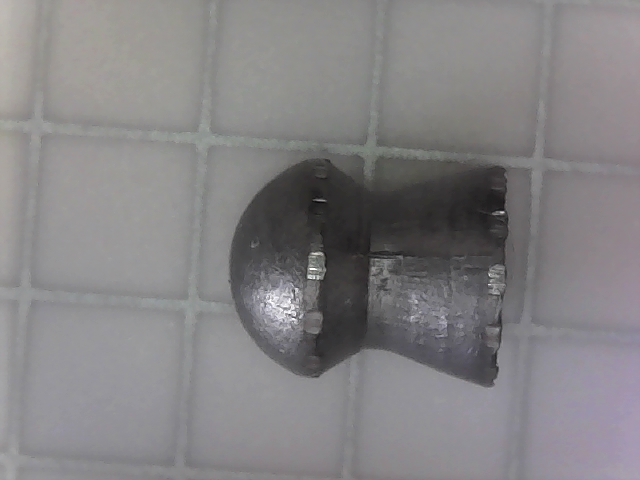 1572370479_18494957085db8782f392da4.12685520_Slugged pellet1.jpg