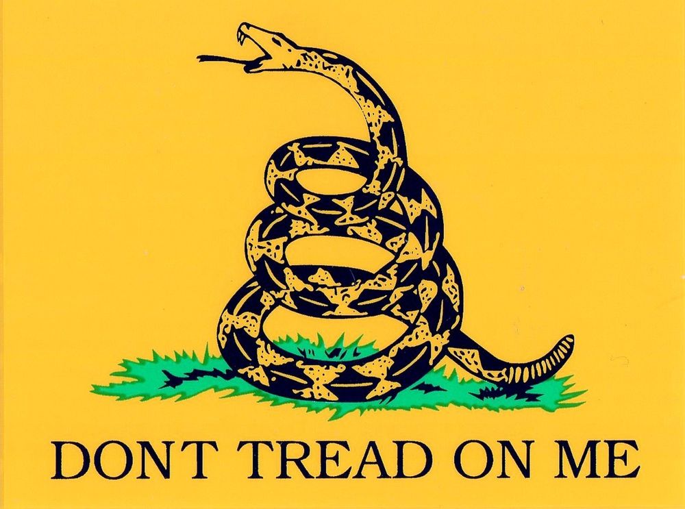 1572414044_16588623415db9225c31d373.55075967_s-l1000.jpg