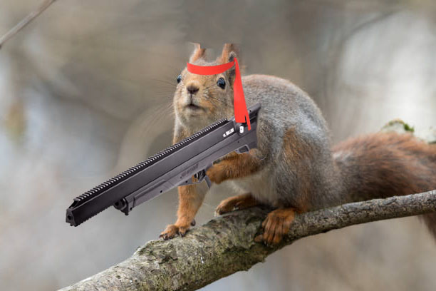 1572471035_2080110725dba00fba6d649.59944302_Ninja_squirrel.jpg