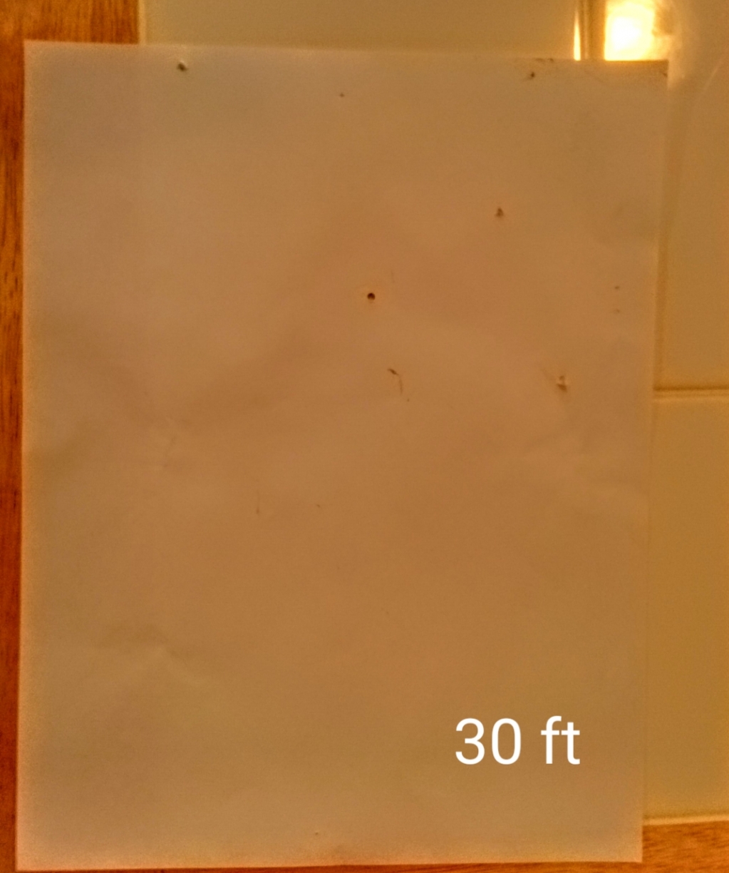 1573422226_4649670615dc88492c0d5c7.46024078_20191110_130350.jpg