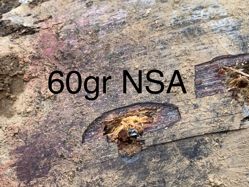 1573972530_1964371695dd0ea3243e398.90367181_6802E5EF-CA89-4923-9C90-FB810D60009C.jpeg