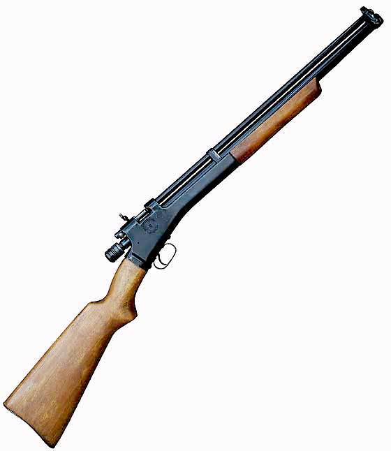 1574025823_15737245685dd1ba5fbffef0.96115356_05-20-16-01-Crosman-101.1626842149.jpg