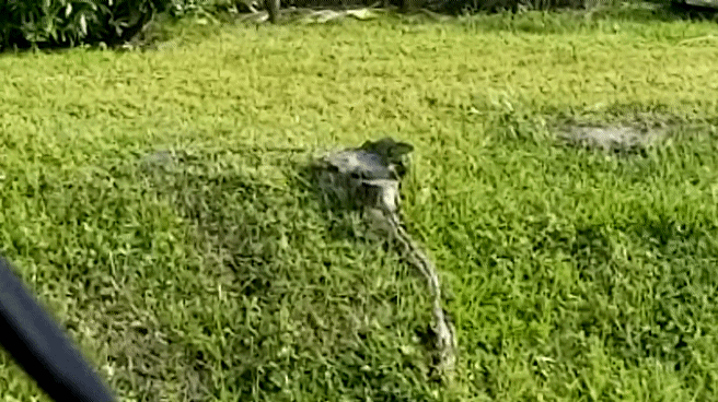 1574825672_3972879245dddeec84c7680.52507550_20191126_144538_1.gif