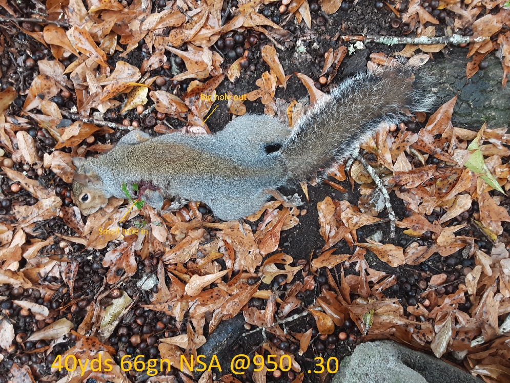 1574867594_3115681185dde928a614272.83870516_66 nsa -.jpg