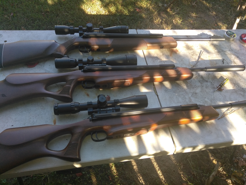 1575052412_4454017855de1647c421433.92947803_Dianas airguns.jpg