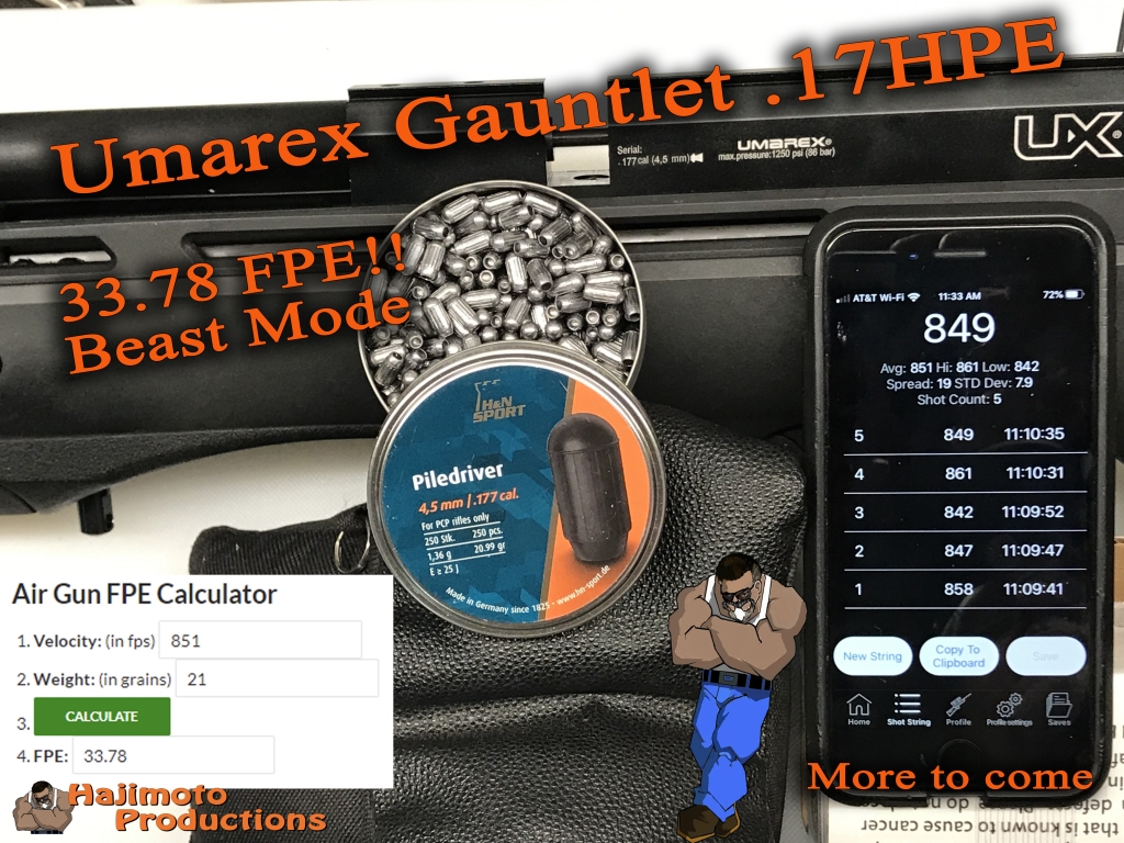 1575139700_5935100865de2b97495a930.14437048_Gauntlet_.17HPE.jpg