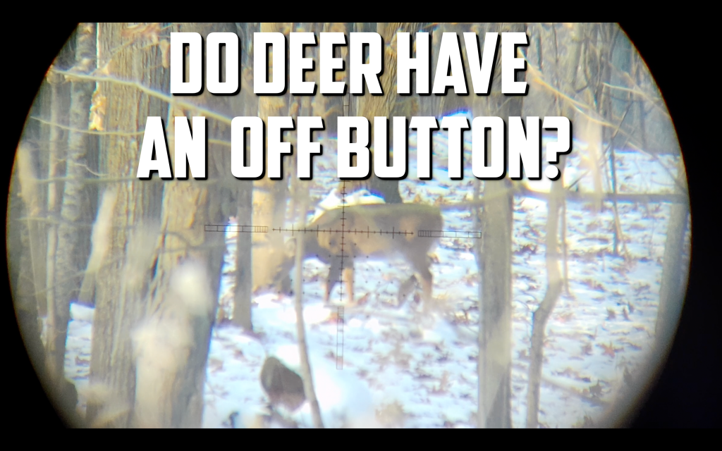 1575566753_20252770535de93da15a7ab6.75308439_off  button.png