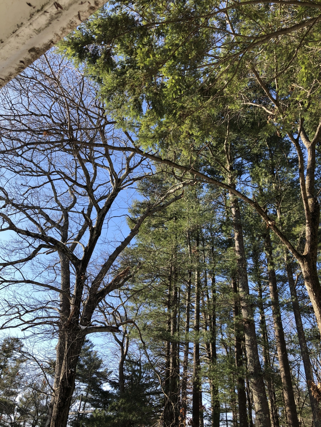 1575863861_19399532825dedc6355ce049.63077374_sq (1).jpg