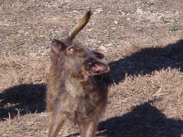 1576525477_6398556145df7dea52242c8.26447700_10-DSC02493.JPG