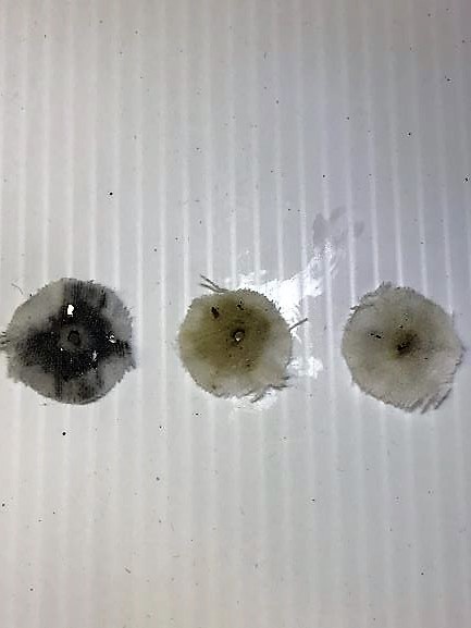 1576535335_6203973645df805275ad2f0.18032220_Cleaning patches.jpg