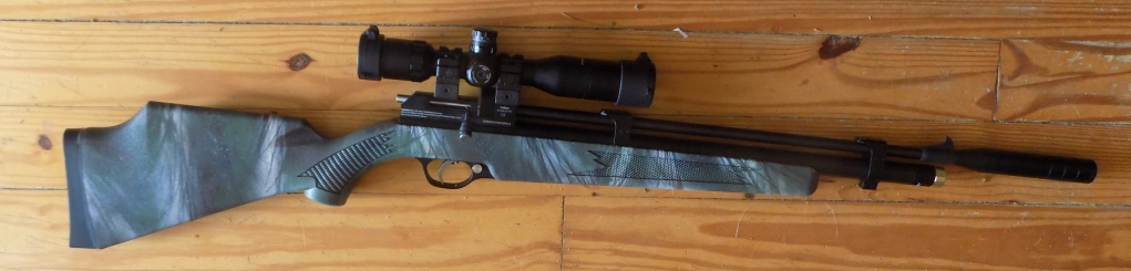 1577588283_11776485145e08163be72f24.64960228_gun1.jpg