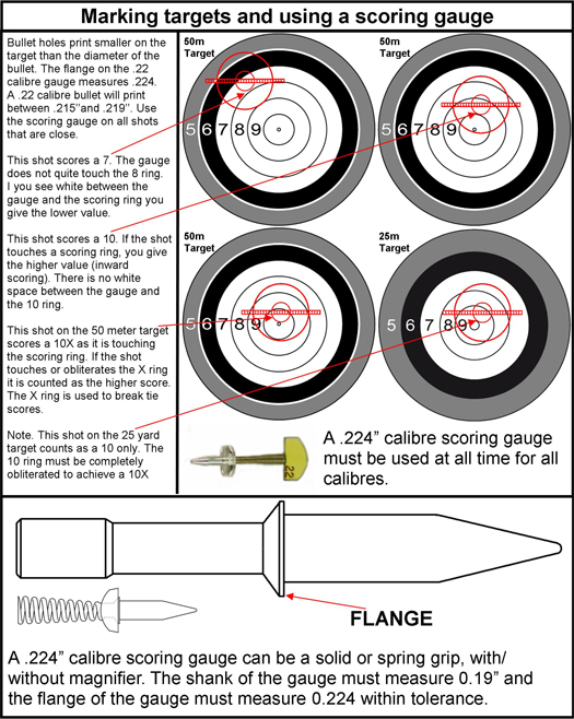 1577726420_18024158695e0a31d447b837.35362798_scoring guide.jpg