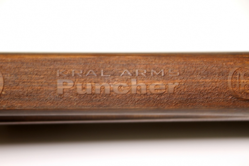 1578194190_2471927805e11550e81e2c6.51288177_PuncherPITBULL2.JPG