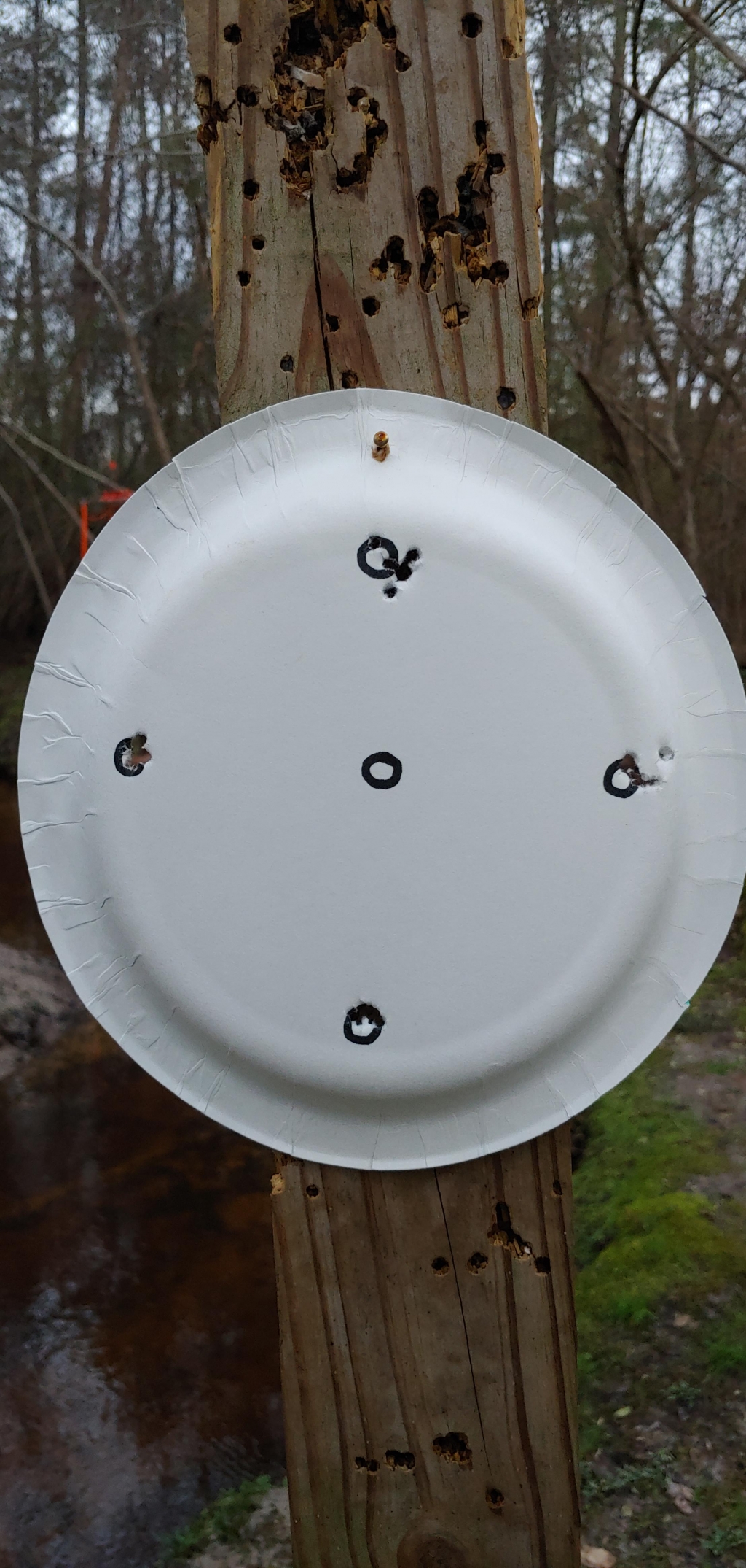1579053346_19936022705e1e7122013514.70348727_20200114_162657.jpg