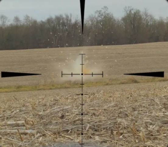 1579448230_9558476925e2477a62f8a01.59625598_tactacam.JPG