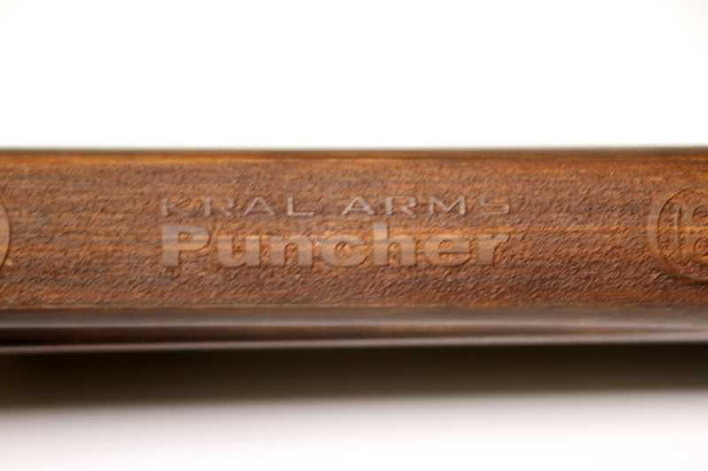 1579829587_4923199665e2a4953342b97.49854167_PuncherPITBULL2.jpg