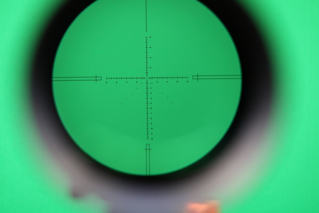 1580117936_18938953225e2eafb08bbae7.70961062_Raptor_Shoot2_ (60).JPG