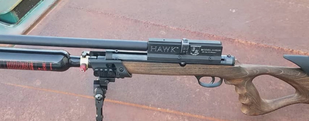 1580656968_14756631185e36e948b904d3.42930434_jsar hawk.jpg