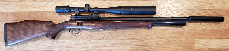 1581384723_7741846165e420413ae0da0.66443232_FX tarantula airgun2.jpg