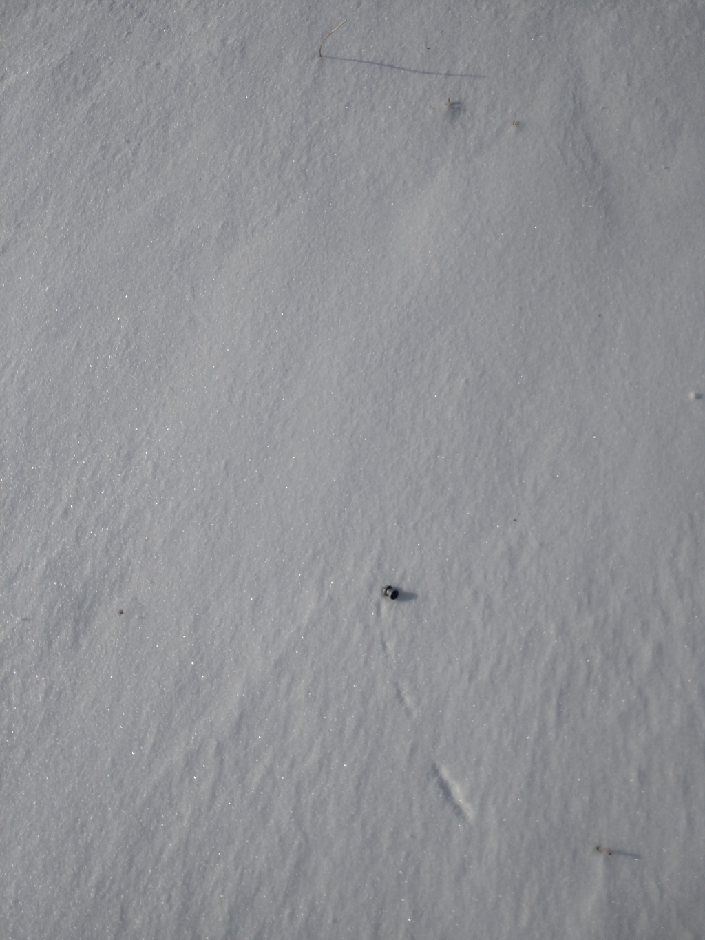 1581393742_14676252215e42274ed61415.43660289_skip1.jpg