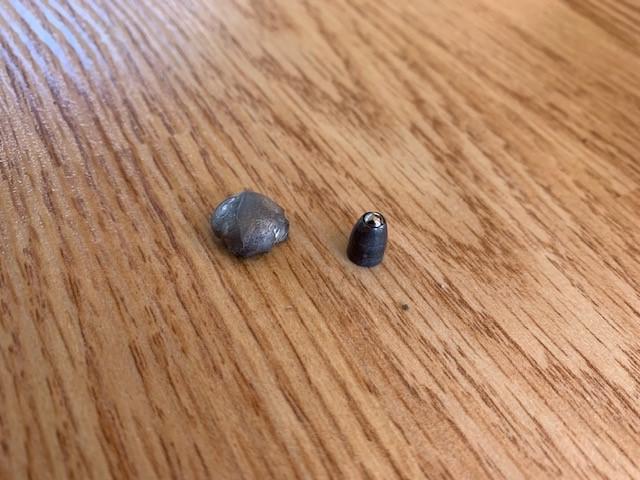 1581427433_15949000545e42aae9387ac1.74810900_SLUG.jpg