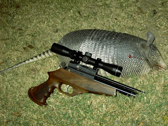 1581751150_2704083385e479b6e94fcb2.85416492_AR6 armadillo.JPG