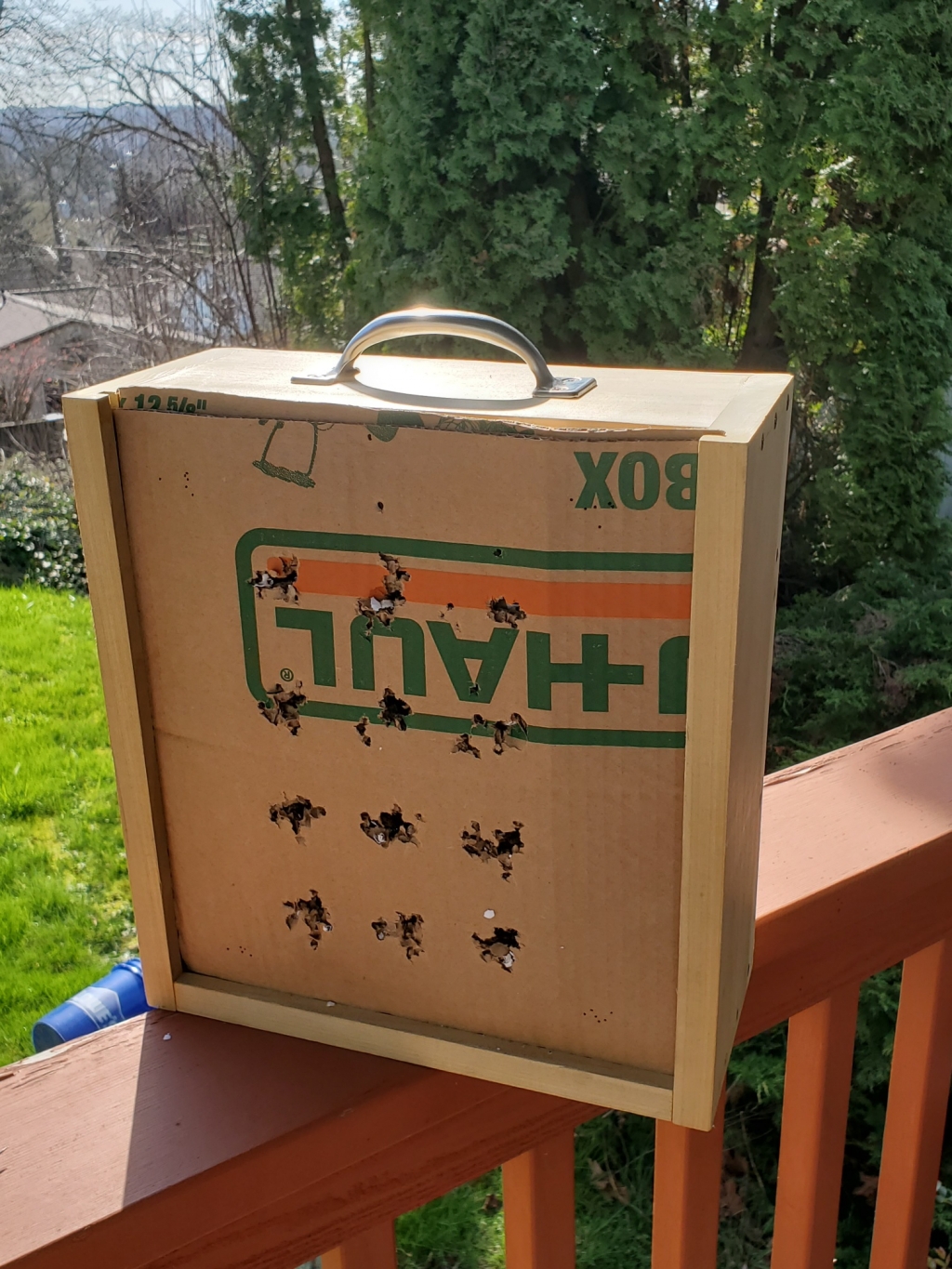 1582841492_1315281305e583e940e0895.01934275_pellet trap 2.jpg
