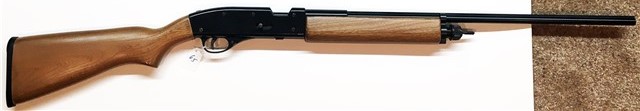 1583268815_10585004315e5ec3cf02f318.51514555_147 Crosman 1100.jpg