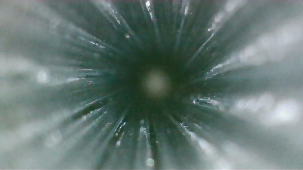 1583521548_9366033665e629f0cdee347.20893600.jpg