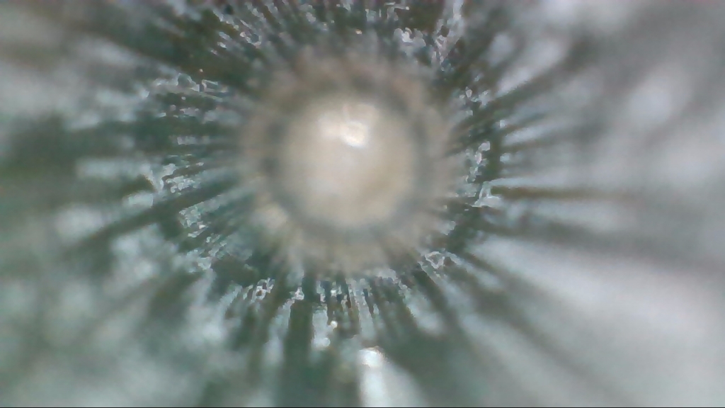 1583521619_20875617645e629f534abd23.14379210.jpg