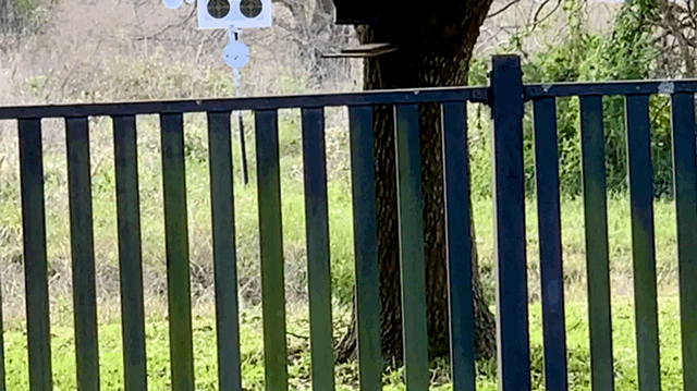 1583978171_14448279795e6996bb3a0604.91005632.gif