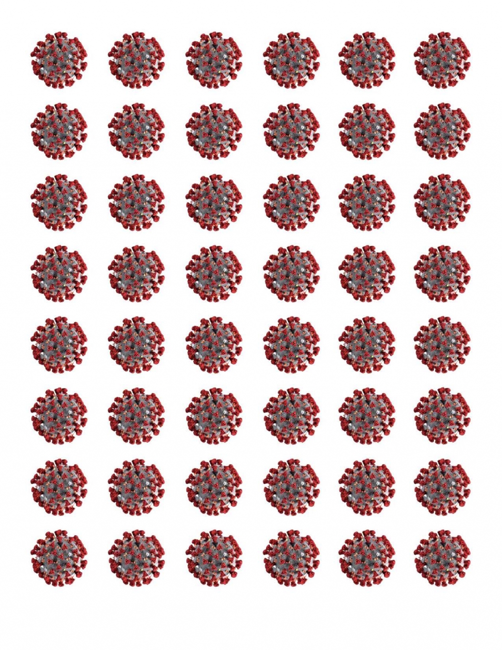 1584229208_1004967565e6d6b5829b5f2.91151337.jpg