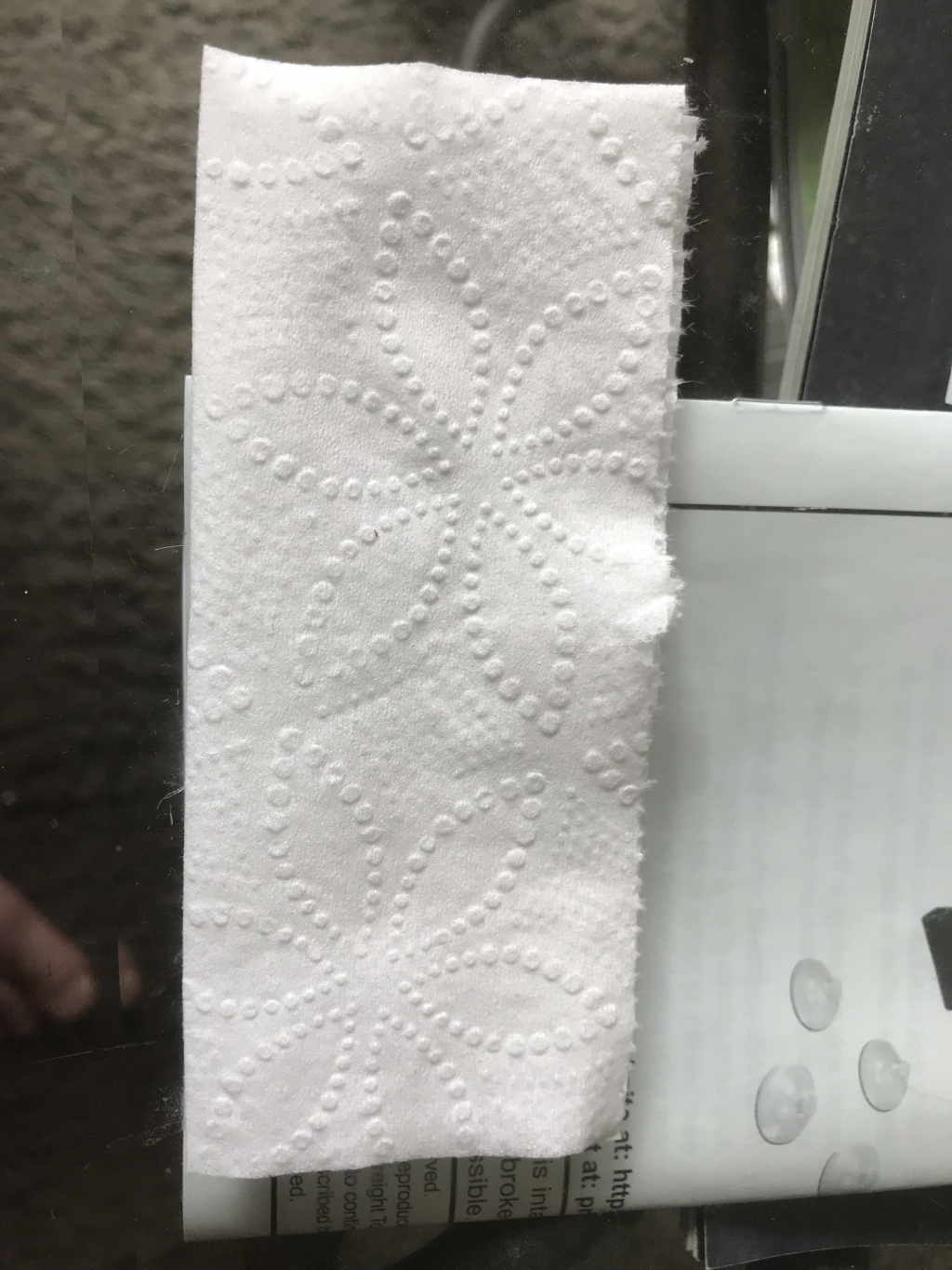 1584303902_8930887195e6e8f1e9090d8.90060537.jpeg