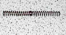 1584475133_8325349365e712bfd02bc48.08056112.jpg