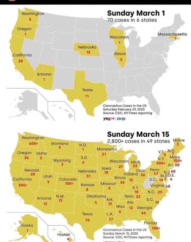 1584505799_16101062405e71a3c7d28892.00894928.jpg